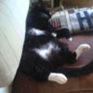 Meet your Posher, Sherry